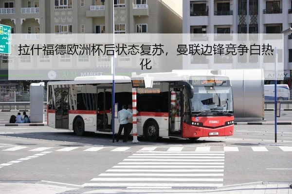 la-shen-fu-de-ou-zhou-bei-hou-zhuang-tai-fu-su-man-lian-bian-feng-jing-zheng-bai-re-hua-3-172.jpg