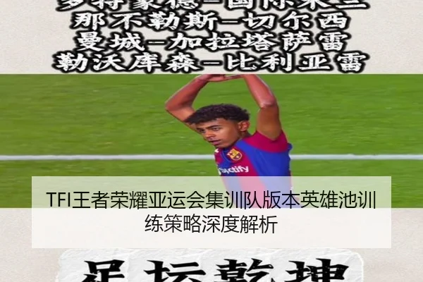 TFI王者荣耀亚运会集训队版本英雄池训练策略深度解析