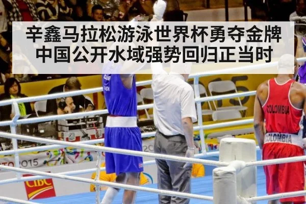 辛鑫马拉松游泳世界杯勇夺金牌 中国公开水域强势回归正当时